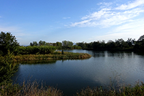 Vista de la llauna.