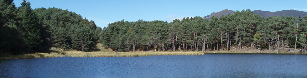 Bassa d´Oles i bosc de Varicauba