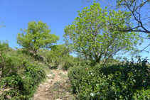 Comencem a guanyar altura.