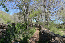 Murs de pedra seca defineixen el camí.