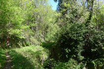 Font de Fontanilles o del barranc de les Lleres.