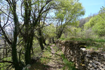 Flanquegem la muntanya per un camí molt bonic.