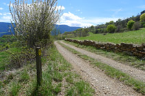 Tram per pista de terra.