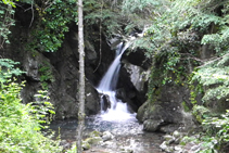 Salts d´aigua a la Riera de Beget, a prop del Molí d´en Sorolla.