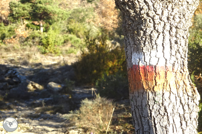 Beget i Rocabruna per camins de contrabandistes 1 