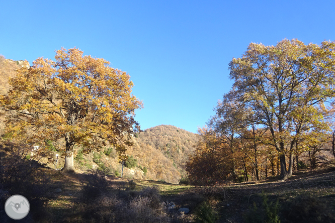 Beget i Rocabruna per camins de contrabandistes 1 