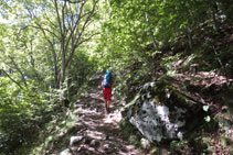 Pujada dura però per un bosc ombrívol.