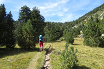 El bosc deixa pas a una zona oberta.