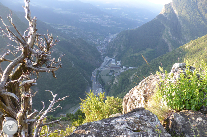 Bony de la Pica (2.402m) des de la Margineda 1 