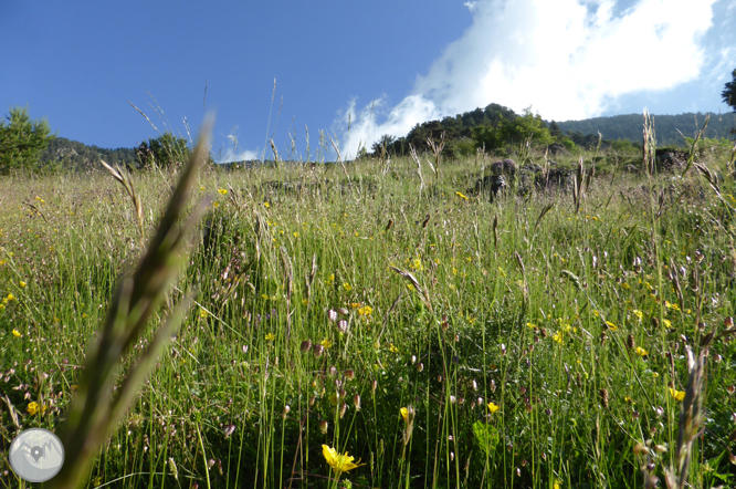 Bony de la Pica (2.402m) des de la Margineda 1 