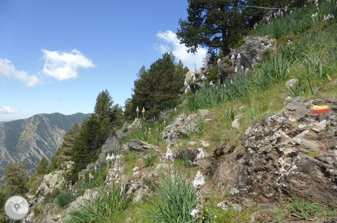 Bony de la Pica (2.402m) des de la Margineda 1 