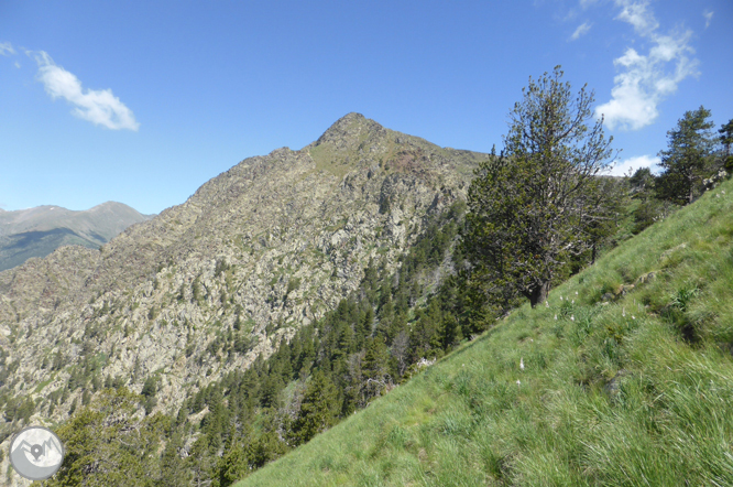 Bony de la Pica (2.402m) des de la Margineda 1 