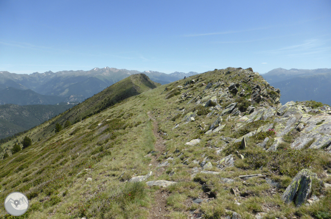 Bony de la Pica (2.402m) des de la Margineda 1 