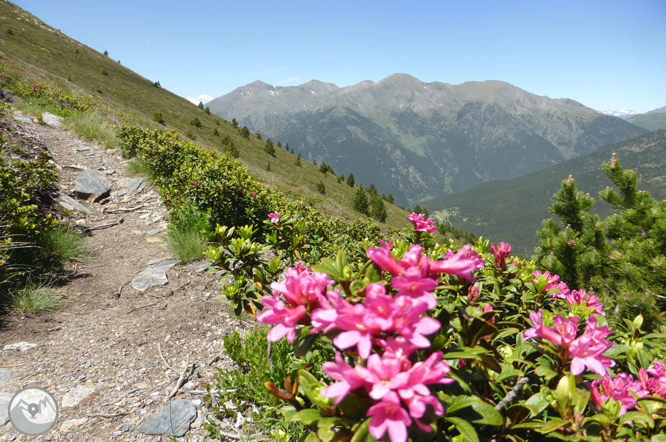 Bony de la Pica (2.402m) des de la Margineda 1 