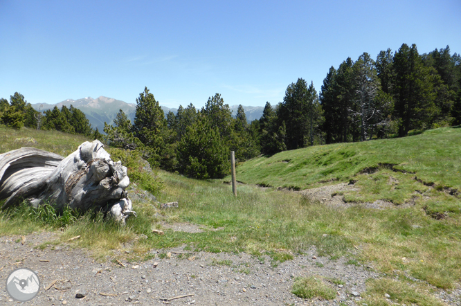 Bony de la Pica (2.402m) des de la Margineda 1 