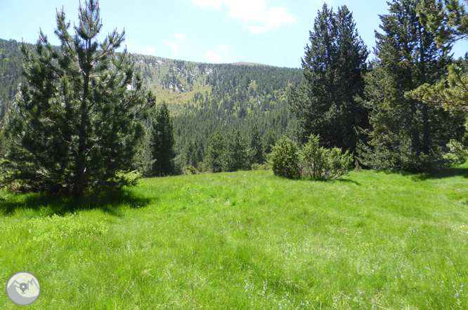 Bony de la Pica (2.402m) des de la Margineda 1 