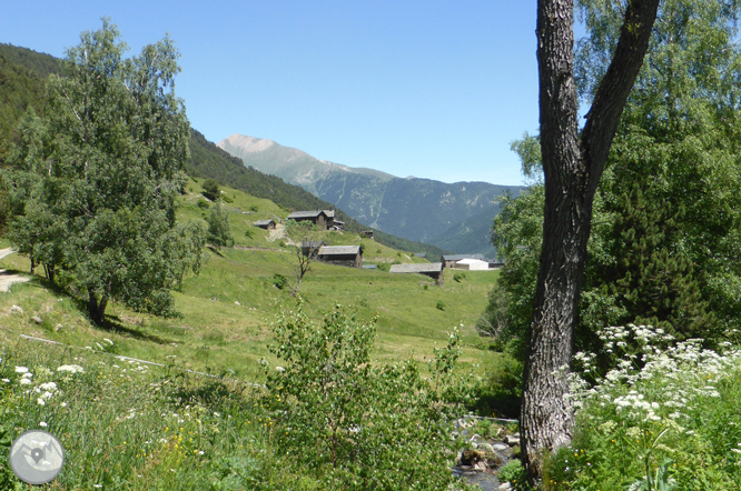 Bony de la Pica (2.402m) des de la Margineda 1 