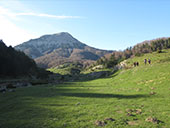 Bosc de Gamueta des del refugi de Linza