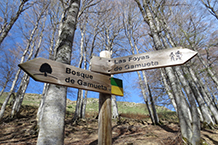 Seguim la indicació "Bosc de Gamueta" cap a la dreta (la foto està feta des del costat oposat, per aquest motiu "Bosc de Gamueta" apareix a l’esquerra).
