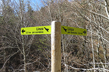 Pal indicador situat just al punt on comença la pista forestal.
