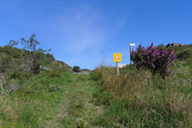 El corriol ens porta fins a la carretera.