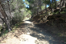 Arribem a una pista de terra.