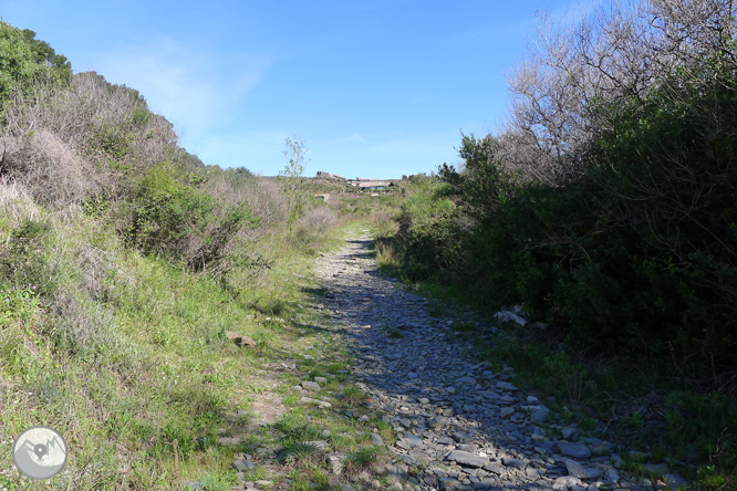 Camí Antic de Cadaqués al Cap de Creus 1 