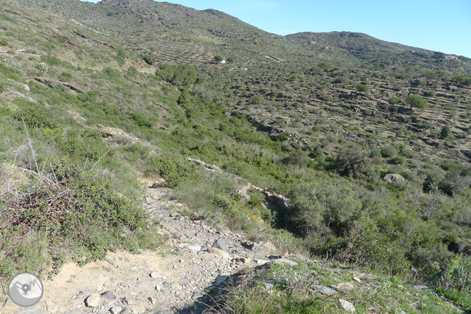 Camí Antic de Cadaqués al Cap de Creus 1 