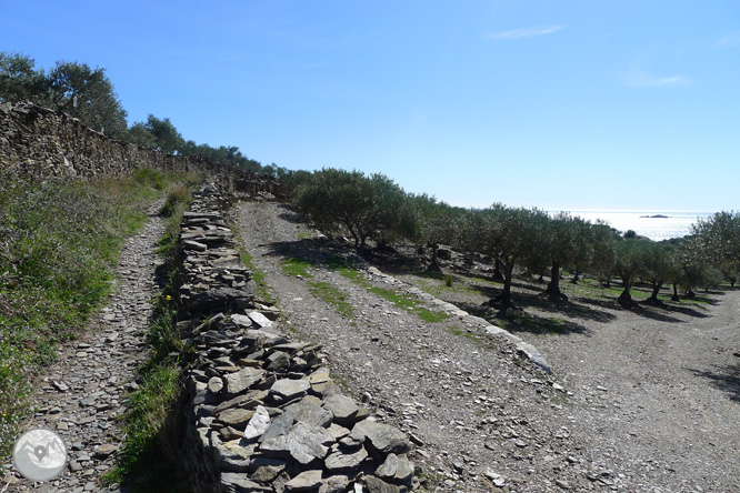 Camí Antic de Cadaqués al Cap de Creus 1 