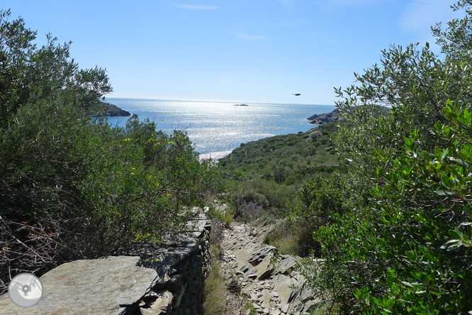 Camí Antic de Cadaqués al Cap de Creus 1 