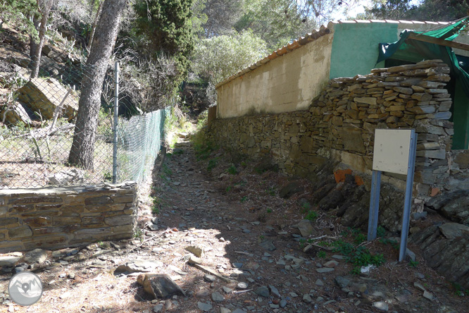 Camí Antic de Cadaqués al Cap de Creus 1 