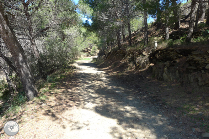 Camí Antic de Cadaqués al Cap de Creus 1 