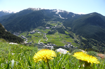 Vistes cap al vessant de Prats des de les bordes de Mereig.