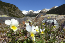 Panoràmica dels cims de la vall del Riu.