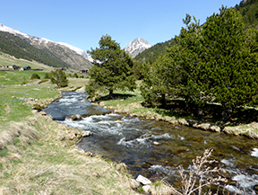 Camí circular de la parròquia de Canillo