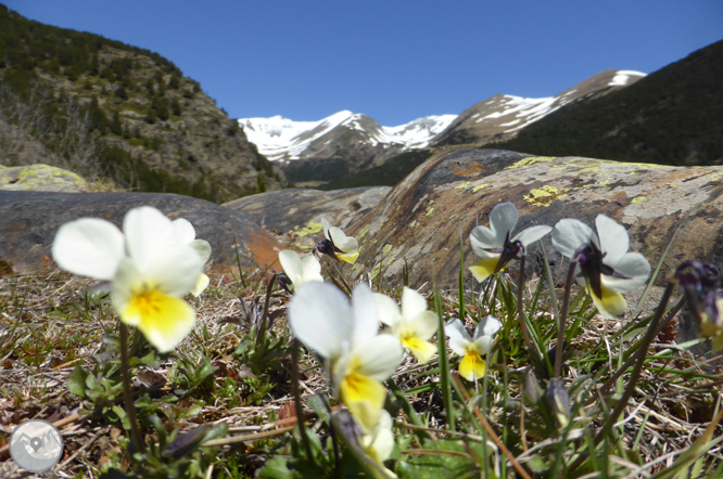 Camí circular de la parròquia de Canillo 1 