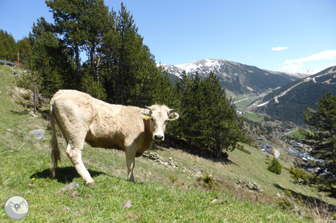 Camí circular de la parròquia de Canillo 1 