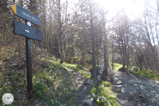 Camí circular de la parròquia de Canillo 1 