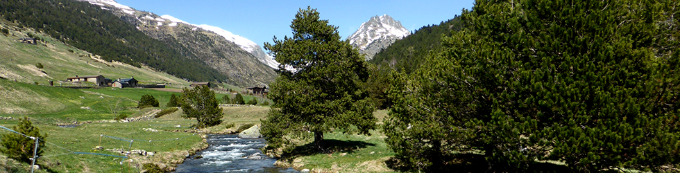 Camí circular de la parròquia de Canillo