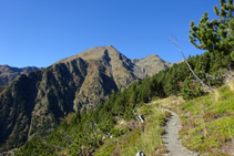 Passem per una zona allavosa. El Comapedrosa treu el cap al fons.