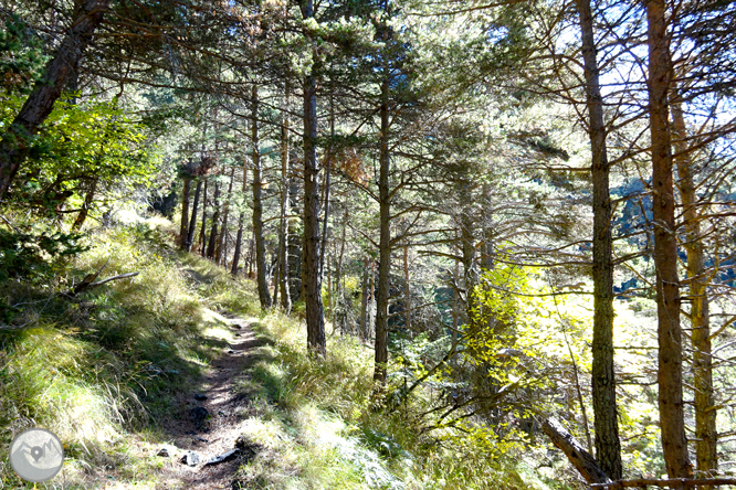 Camí de Percanela - Les Fonts - Pla de l