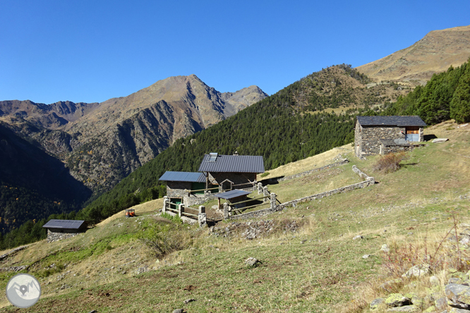 Camí de Percanela - Les Fonts - Pla de l