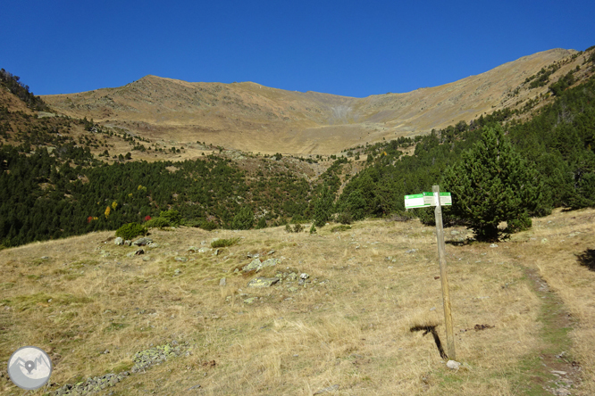 Camí de Percanela - Les Fonts - Pla de l