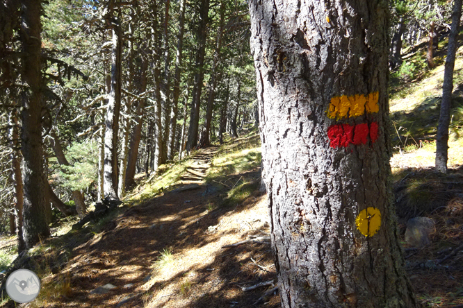 Camí de Percanela - Les Fonts - Pla de l