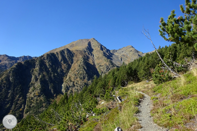 Camí de Percanela - Les Fonts - Pla de l