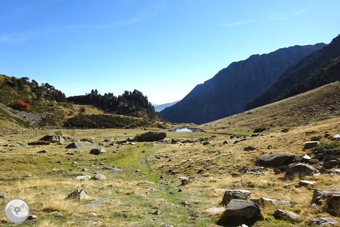 Camí de Percanela - Les Fonts - Pla de l