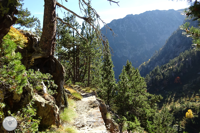 Camí de Percanela - Les Fonts - Pla de l