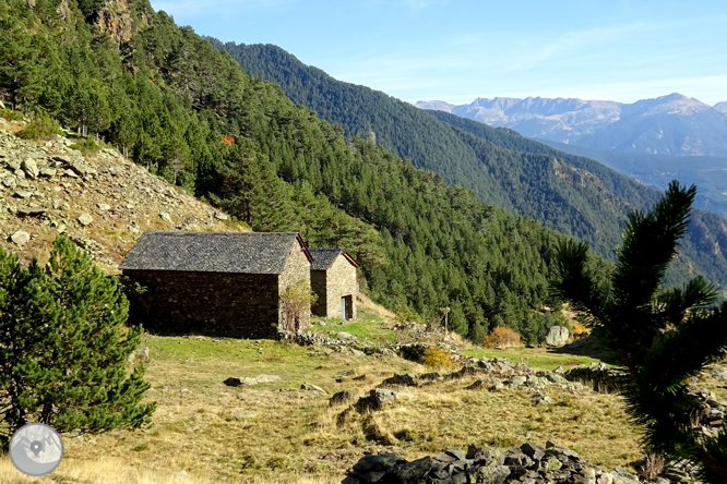 Camí de Percanela - Les Fonts - Pla de l