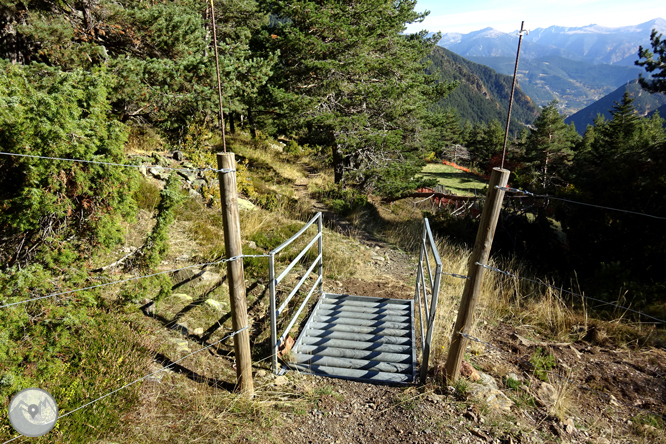 Camí de Percanela - Les Fonts - Pla de l