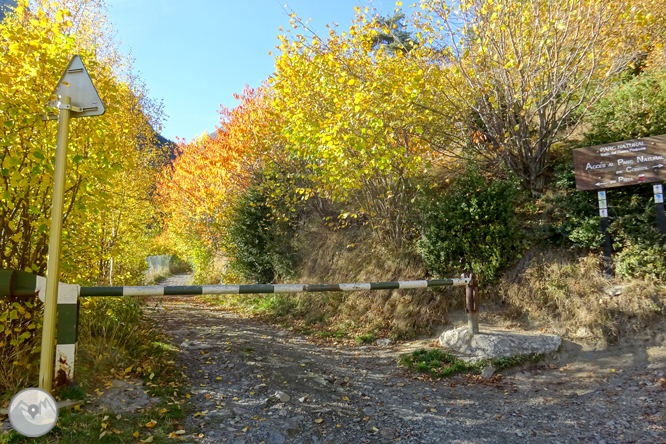 Camí de Percanela - Les Fonts - Pla de l